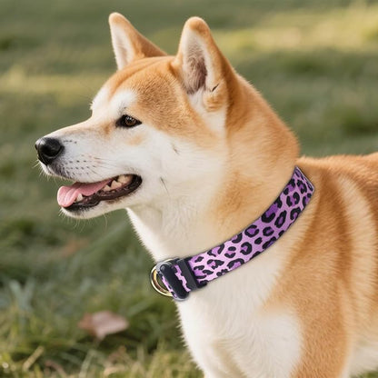 QQPETS Adjustable Soft Dog Collar: Print Flower Pink Multicolor Cute Patterns - Image 2