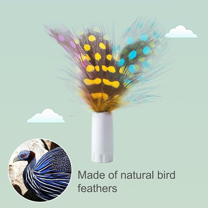 ORSDA 6PCS Feathers Replacement ONLY Interactive Cat Toys - Image 5