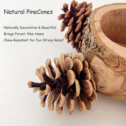 2 Pcs Bird Perch with Safe Bowl Wood & Pinecones - Image 3