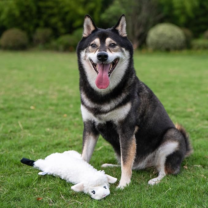 Best Pet Supplies Squeaky Dog Toys - Image 7