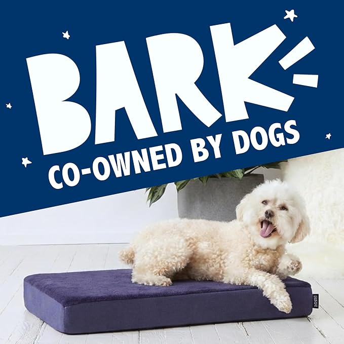 Barkbox Orthopedic Dog Bed - Image 7