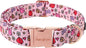 Unique style paws Valentine's Dog Collar Metal Buckle Puppy Collar XO Red Lips by Uniquestylepaws