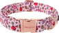 Unique style paws Valentine's Dog Collar Metal Buckle Puppy Collar XO Red Lips by Uniquestylepaws