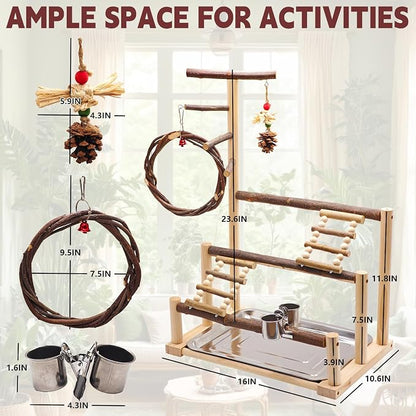 ‌Bird Playground, Natural Wooden Parrot Stand - Image 2