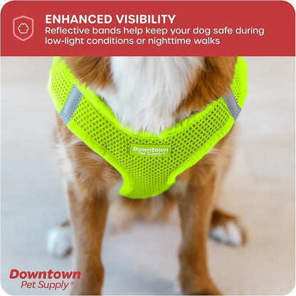 Downtown Pet Supply Step-in Dog Harness – No Pull, Adjustable Padded Mesh - Image 7