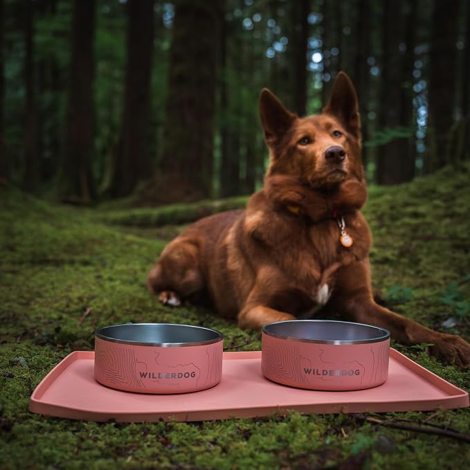 Wilderdog Silicone Pet Placemat Made - Image 6