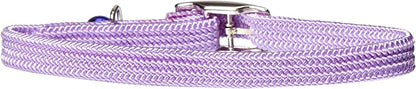 Kool Kat Elastic Cat Safety Collar by OmniPet%C2%AE