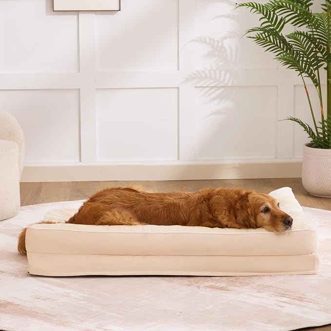 Dog Bed Large Sized Dogs, XXL Orthopedic Dog Bed - Image 7