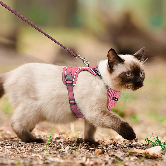 Cat Harness and Leash Set for Walking Escape Proof, Improved Four Place - Image 5