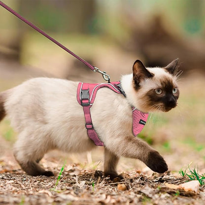 Cat Harness and Leash Set for Walking Escape Proof, Improved Four Place - Image 5