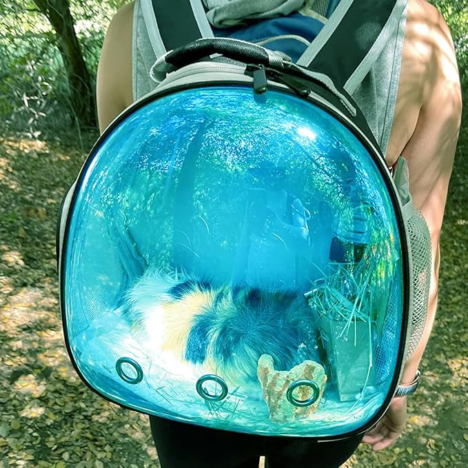 Bearded Dragon Travel Carrier Backpack - Image 7