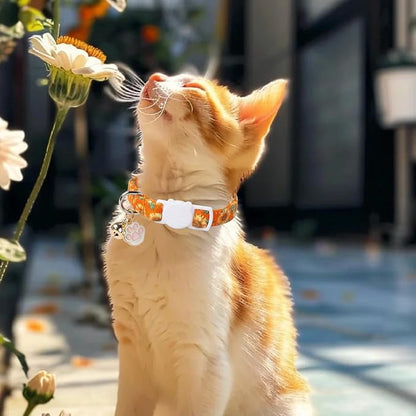 Unique Style Paws Fall Kitten Collar, 2 Pack Orange Cat Collar - Image 6