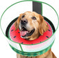 Inflatable Dog Cone with Anti-Licking Clear Shield, Protective Dog Donut Collar by Didopet