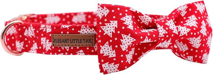 Elegant little tail Dog Collar - Image 2