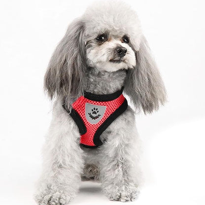 shudyear Summer cat Chest Harness and Leash, Anti-Escape Adjustable Soft mesh - Image 6