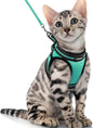 rabbitgoo Cat Harness and Leash Set by rabbitgoo