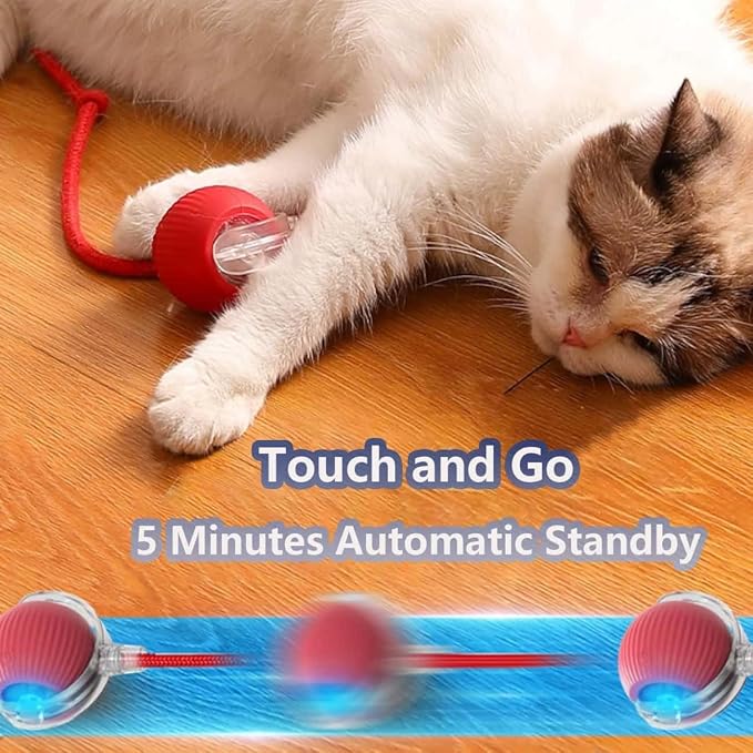 Interactive Cat Toys for Indoor Cats, Agility Move Cat Balls, Motion Activated - Image 7
