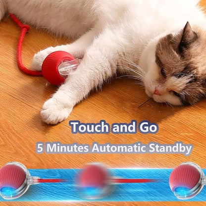 Interactive Cat Toys for Indoor Cats, Agility Move Cat Balls, Motion Activated - Image 7