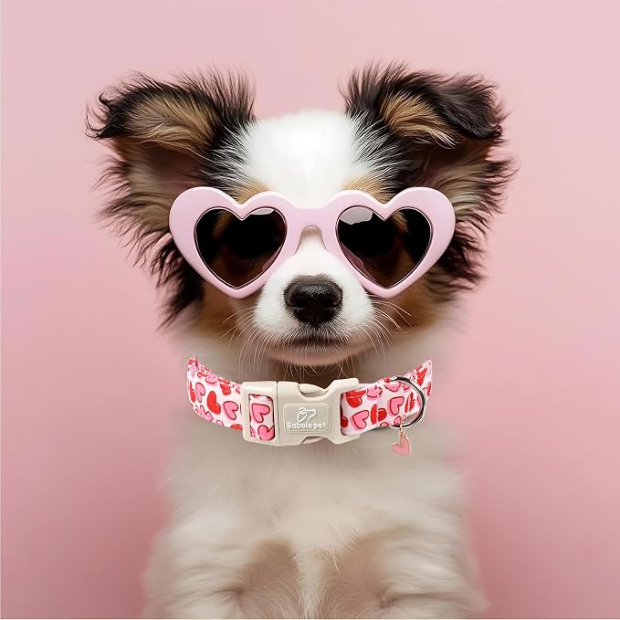 Valentines Dog Collar for Large Dogs - Image 2