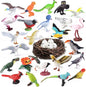30Pcs Birds Animal Figures Playset, Hummingbird, Flamingo by kukifun