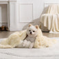 gogobunny Waterproof Dog Blanket by gogobunny