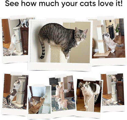 AGYM 32 Inch Cat Scratching Post - Image 6
