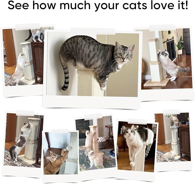 AGYM 32 Tall Cat Scratching Post - Image 6