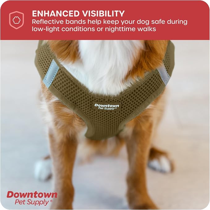 Downtown Pet Supply Step in Dog Harness No Pull, Hunter Green - Image 7