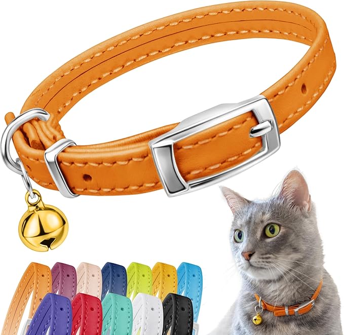 CollarDirect Leather Cat Collar by CollarDirect