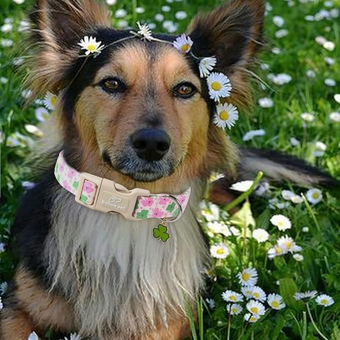 St Patricks Day Dog Collar for Small Dogs - Image 2