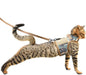 Tactical Cat Harness and Leash for Walking Escape Proof Breathable Mesh Fabric by Yizhi+Miaow