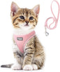 Fida Comfy Dog Harness with Leash, Cat Vest Harness Escape Proof, Breathable by Fida