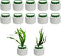 12 Pack New Upgrade Aquarium Plant Weights, Aquatic Plants Fixed Ring Set by QoTang