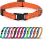 Joytale Small Dog Collar, Reflective and Adjustable Nylon Collar by Joytale