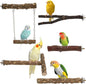 Hypeety Natural Wood Bird Perch by Hypeety