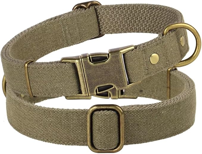 PET ARTIST Dog Collar for Large Dogs, Soft Padded Premium Nylon Dog Collar - Image 7