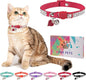 Rhinestone Cat Collar Breakaway by DILLYBUD