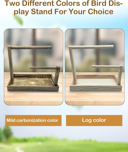 Small Bird Training Stand Portable Tabletop Birds Perch Desktop Platform - Image 7
