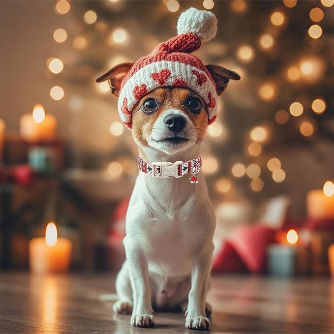 Christmas Dog Collar for Small Dogs - Image 7