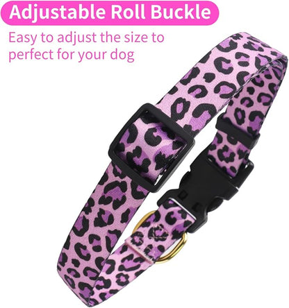 QQPETS Adjustable Soft Dog Collar: Print Flower Pink Multicolor Cute Patterns - Image 4