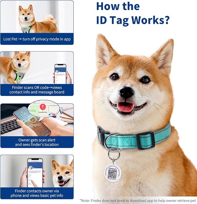 Reflective Dog Collar for Extra Small Dogs - Image 5