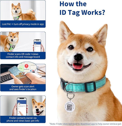 Reflective Dog Collar for Extra Small Dogs - Image 5