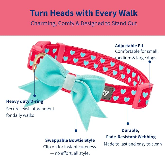 Blueberry Pet Dog Collar with Bowtie, Neck 14.5-20" Adjustable - Image 2
