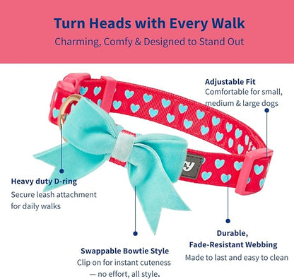 Blueberry Pet Valentines Day Dog Collar - Image 3