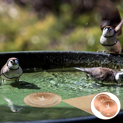4 Inches Pure Copper Bird Bath Purification Disk, 0.6mm thick, Reinforced - Image 7