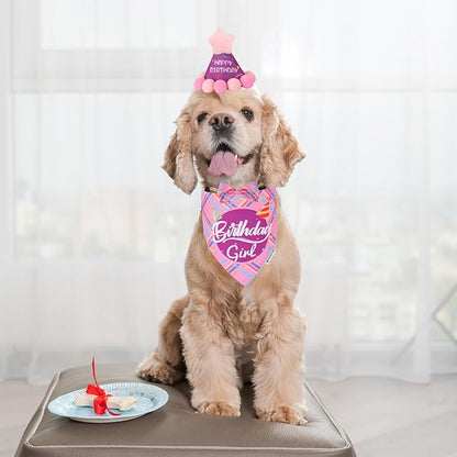 ADOGGYGO Dog Birthday Party Supplies - Image 2