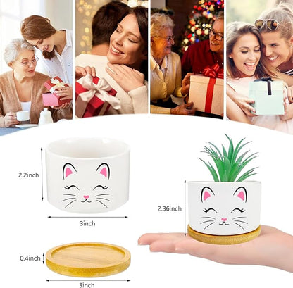 Window Garden Cat Planter Pots, Cat Loves Gifts - Image 4