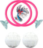 Betta Ring Enrichment Toys by HomedyCrafts