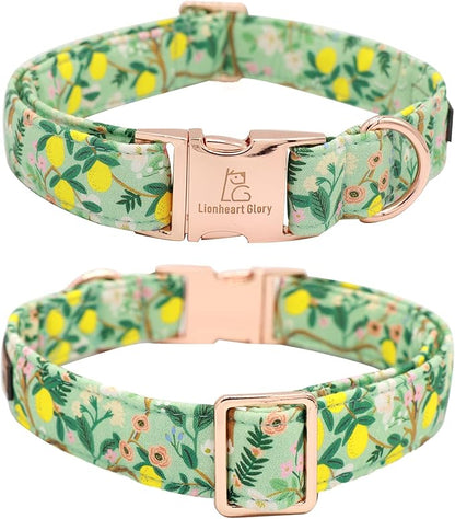 Lionheart Glory Cute Lemon Floral Pattern Adjustable Dog Collar - Image 4