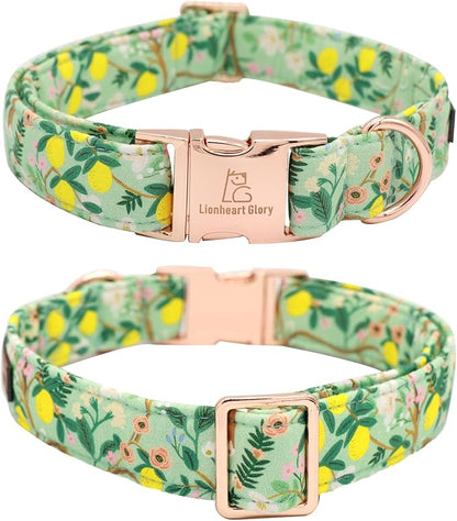 Lionheart Glory Dog Collar, Dog Collar - Image 4
